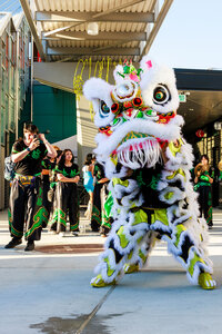 Photo: Mak Fai Kung Fu Dagon and Lion Dance Association provided a celebratory Lion dance.