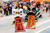 Photo: Mak Fai Kung Fu Dagon and Lion Dance Association provided a celebratory Lion dance.