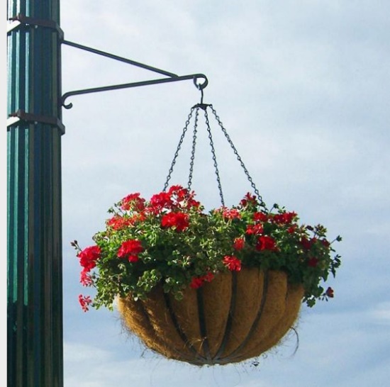 hanging flower basket
