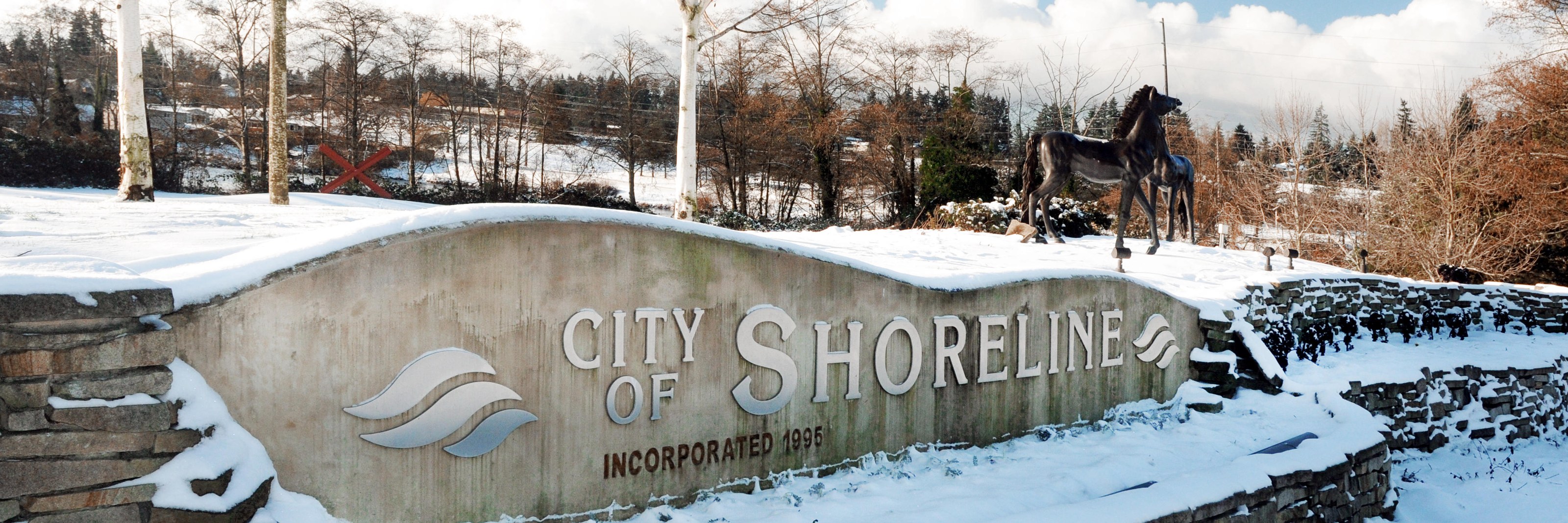 Ronald Bog in Winter
