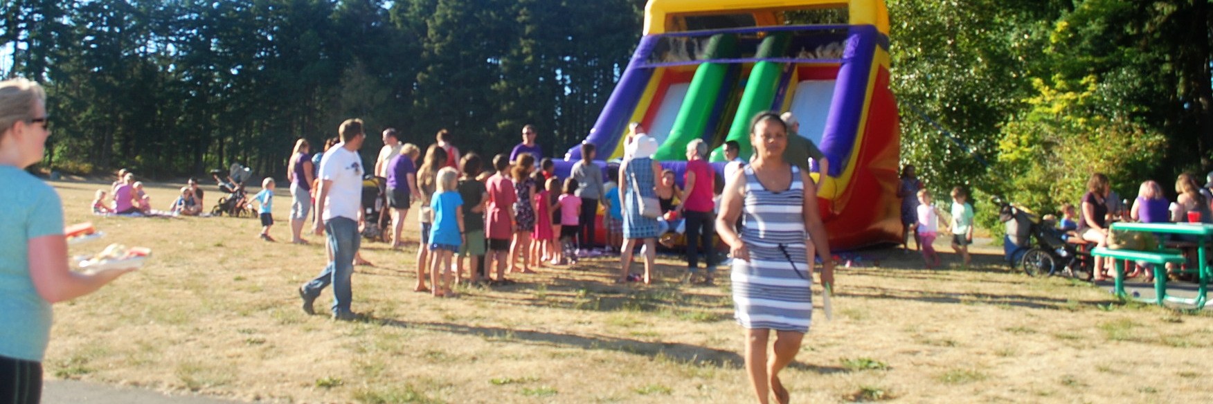 The North City Summer Picnic